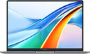 Honor MagicBook X14 Pro FRI-G58 [5301AHQK] Grey 14