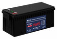 WBR MBLi24V 100