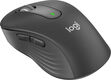 Беспроводная оптическая мышь Logitech Signature M650 L For Business (910-006350) Беспроводная оптическая мышь Logitech Signature M650 L For Business (910-006350)
