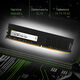 Память DDR4 16Gb 2666MHz Digma DGMAD42666016D RTL PC4-21300 CL19 DIMM 288-pin 1.2В dual rank Ret Память DDR4 16Gb 2666MHz Digma DGMAD42666016D RTL PC4-21300 CL19 DIMM 288-pin 1.2В dual rank Ret
