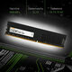 Память DDR4 16Gb 2666MHz Digma DGMAD42666016D RTL PC4-21300 CL19 DIMM 288-pin 1.2В dual rank Ret Память DDR4 16Gb 2666MHz Digma DGMAD42666016D RTL PC4-21300 CL19 DIMM 288-pin 1.2В dual rank Ret