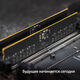 Память DDR5 32GB 6400MHz Patriot PSD532G6402C Signature RTL PC5-51200 CL52 DIMM 288-pin 1.1В dual rank Ret