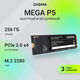 Накопитель SSD Digma PCIe 3.0 x4 256GB DGSM3256GP53T Mega P5 M.2 2280 Накопитель SSD Digma PCIe 3.0 x4 256GB DGSM3256GP53T Mega P5 M.2 2280