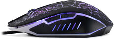 Oklick
Мышь Оклик 896G черный оптическая 12800dpi USB для ноутбука 5but (1431690) Oklick
Мышь Оклик 896G черный оптическая 12800dpi USB для ноутбука 5but (1431690)
