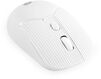 Oklick
Мышь Оклик 509MW white белый оптическая 1600dpi беспров. USB для ноутбука 4but (1885186)