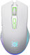 Мышь Defender Pandora GM-502 белый оптическая 3200dpi silent беспров. USB 6but (52502)