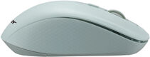 Мышь Acer OMR309 зеленый оптическая 1600dpi беспров. USB 4but (ZL.MCECC.030) Мышь Acer OMR309 зеленый оптическая 1600dpi беспров. USB 4but (ZL.MCECC.030)