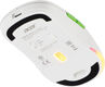 Мышь Acer OMR311 белый оптическая 2400dpi беспров. BT/Radio USB 7but (ZL.MCECC.034) Мышь Acer OMR311 белый оптическая 2400dpi беспров. BT/Radio USB 7but (ZL.MCECC.034)