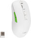 Мышь Acer OMR311 белый оптическая 2400dpi беспров. BT/Radio USB 7but (ZL.MCECC.034) Мышь Acer OMR311 белый оптическая 2400dpi беспров. BT/Radio USB 7but (ZL.MCECC.034)