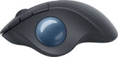 Трекбол Logitech Ergo M575 графитовый оптическая 2000dpi беспров. BT/Radio USB2.0 4but (910-005873) Трекбол Logitech Ergo M575 графитовый оптическая 2000dpi беспров. BT/Radio USB2.0 4but (910-005873)