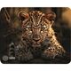 Коврик для мыши Cactus Leopard рисунок 250x200x3мм (CS-MP-D06S)