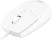 Oklick
Клавиатура + мышь Оклик S650 клав:белый мышь:белый USB Multimedia (1875257)