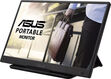 Монитор Asus 15.6