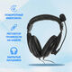 Oklick
Наушники с микрофоном Оклик HS-M137V черный 1.8м мониторные оголовье (614046)