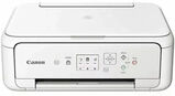 МФУ струйный Canon Pixma TS5151 (2228С028) A4 Duplex WiFi белый&nbsp;<img style='position: relative;margin:0' src='/image/only_to_order_edit.gif' alt='На заказ' title='На заказ' />