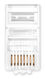 Коннектор RJ-45 Buro TL-CAT-001 8p8c 5cat (упак.:100шт) Коннектор RJ-45 Buro TL-CAT-001 8p8c 5cat (упак.:100шт)