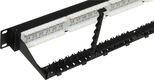 Патч-панель Lanmaster LAN-PPN24U6A 19