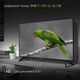 Телевизор LED Digma 43 Телевизор LED Digma 43