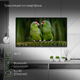 Телевизор LED Digma 40