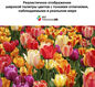 Телевизор LED Sony 75 Телевизор LED Sony 75
