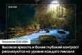 Телевизор OLED Samsung 48