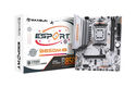 MAXSUN MS-eSport B850M WIFI ICE