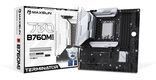 MAXSUN MS-Terminator B760M D5 MAXSUN MS-Terminator B760M D5