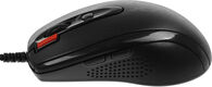 Мышь A4Tech X-7120 черный оптическая 2000dpi USB2.0 7but (X-710BK+X7-200MP) Мышь A4Tech X-7120 черный оптическая 2000dpi USB2.0 7but (X-710BK+X7-200MP)