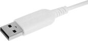 Мышь A4Tech Fstyler FM10 белый/серый оптическая 1600dpi USB 4but (FM10 WHITE) Мышь A4Tech Fstyler FM10 белый/серый оптическая 1600dpi USB 4but (FM10 WHITE)