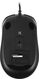Мышь A4Tech Fstyler FM12S черный оптическая 1200dpi silent USB 3but (FM12S BLACK) Мышь A4Tech Fstyler FM12S черный оптическая 1200dpi silent USB 3but (FM12S BLACK)