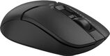 Мышь A4Tech Fstyler FG12S черный оптическая 1200dpi silent беспров. USB 3but (FG12S BLACK) Мышь A4Tech Fstyler FG12S черный оптическая 1200dpi silent беспров. USB 3but (FG12S BLACK)