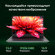 Ноутбук Digma Pro Fortis M Core i5 1334U 16Gb SSD512Gb Intel UHD Graphics 15.6 Ноутбук Digma Pro Fortis M Core i5 1334U 16Gb SSD512Gb Intel UHD Graphics 15.6