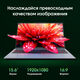 Ноутбук Digma Pro Cursus Ryzen 5 3500U 16Gb SSD512Gb AMD Radeon Graphics 15.6 Ноутбук Digma Pro Cursus Ryzen 5 3500U 16Gb SSD512Gb AMD Radeon Graphics 15.6