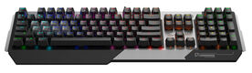 Клавиатура A4Tech Bloody B865R механическая серый/черный USB for gamer LED Клавиатура A4Tech Bloody B865R механическая серый/черный USB for gamer LED