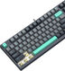 Клавиатура A4Tech Fstyler FS300 механическая черный/серый USB for gamer LED (FS300 PANDA ROCK)