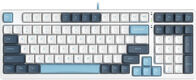 Клавиатура A4Tech Fstyler FS300 механическая белый/синий USB for gamer LED (FS300 PANDA SNOWBOARDING) Клавиатура A4Tech Fstyler FS300 механическая белый/синий USB for gamer LED (FS300 PANDA SNOWBOARDING)