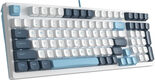 Клавиатура A4Tech Fstyler FS300 механическая белый/синий USB for gamer LED (FS300 PANDA SNOWBOARDING) Клавиатура A4Tech Fstyler FS300 механическая белый/синий USB for gamer LED (FS300 PANDA SNOWBOARDING)