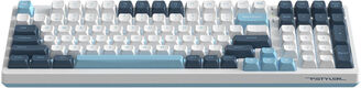 Клавиатура A4Tech Fstyler FS300 механическая белый/синий USB for gamer LED (FS300 PANDA SNOWBOARDING) Клавиатура A4Tech Fstyler FS300 механическая белый/синий USB for gamer LED (FS300 PANDA SNOWBOARDING)