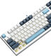 Клавиатура A4Tech Fstyler FS300 механическая белый/синий USB for gamer LED (FS300 PANDA SNOWBOARDING) Клавиатура A4Tech Fstyler FS300 механическая белый/синий USB for gamer LED (FS300 PANDA SNOWBOARDING)