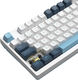 Клавиатура A4Tech Fstyler FS300 механическая белый/синий USB for gamer LED (FS300 PANDA SNOWBOARDING)