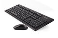 Клавиатура + мышь A4Tech 3000NS клав:черный мышь:черный USB беспроводная Multimedia
