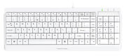 Клавиатура A4Tech Fstyler FK15 белый USB (FK15 WHITE)