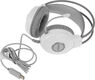 Наушники с микрофоном A4Tech Fstyler FH300U белый 2м мониторные USB оголовье (FH300U WHITE) Наушники с микрофоном A4Tech Fstyler FH300U белый 2м мониторные USB оголовье (FH300U WHITE)