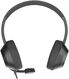 Наушники с микрофоном A4Tech Fstyler FH150U черный 2м накладные USB оголовье (FH150U BLACK) Наушники с микрофоном A4Tech Fstyler FH150U черный 2м накладные USB оголовье (FH150U BLACK)