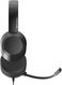 Наушники с микрофоном A4Tech Fstyler FH150U черный 2м накладные USB оголовье (FH150U BLACK) Наушники с микрофоном A4Tech Fstyler FH150U черный 2м накладные USB оголовье (FH150U BLACK)