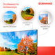Телевизор LED Starwind 43 Телевизор LED Starwind 43