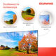 Телевизор LED Starwind 43 Телевизор LED Starwind 43