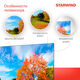 Телевизор LED Starwind 50 Телевизор LED Starwind 50