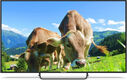 Телевизор LED PolarLine 65