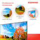 Телевизор LED Starwind 65
